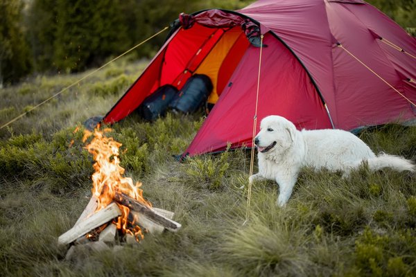 Camping dans la Drôme : critères de choix pour une expérience mémorable