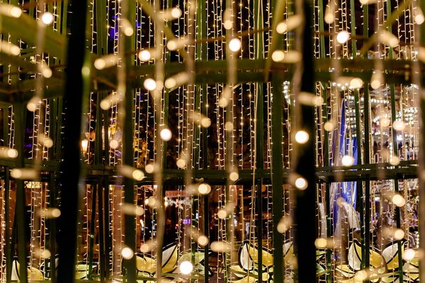 Comment choisir la guirlande lumineuse parfaite pour votre jardin ?