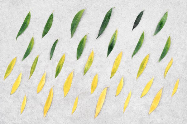 les clés pour réussir sa transition vers le télétravail